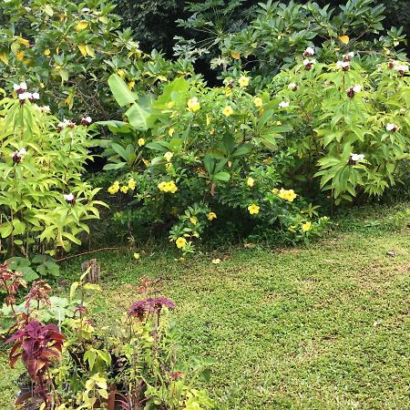 Pension Te Aroha - Te Haumaru Maatea 外观 照片
