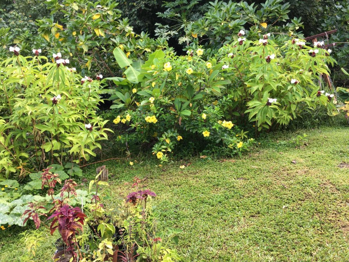 Pension Te Aroha - Te Haumaru Maatea 外观 照片